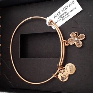Alex and Ani bracelet